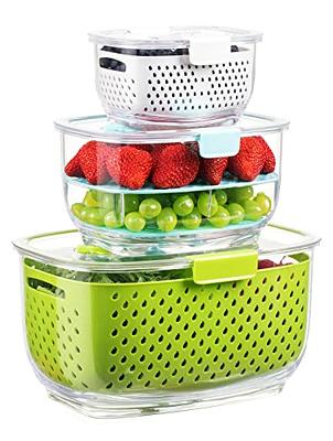 3 Pack Fruit Storage Containers for Fridge, Produce Saver Vegetable  Container with Drain Colanders - Refrigerator Organizer for Lettuce Berry  Keepers - Yahoo Shopping