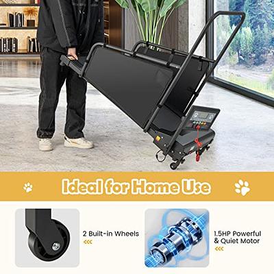 Indoor Pet Exercise Equipment with Remote Control