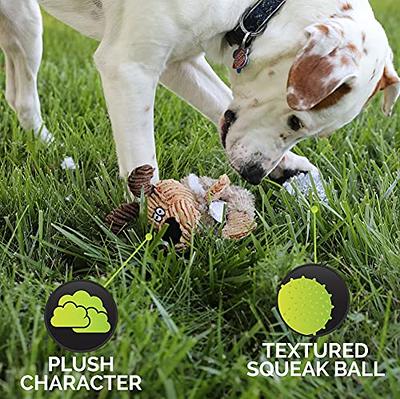 HOLYSTEED Interactive Dog Toy Ball, 4.7 Dog Puzzle Toys, Treat Dispensing  Dog Toys for Large Dogs, Medium Dog and Small Breeds