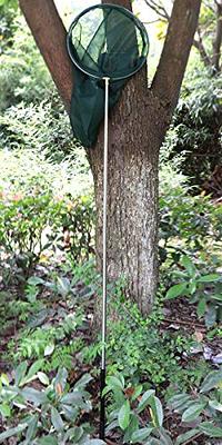 Professional Insect and Butterfly Net with 14 Ring, 26 Net Depth, 59 Telescopic  Handle Full Extends to 73 Stainless Lockable (73 Long, Green) - Yahoo  Shopping