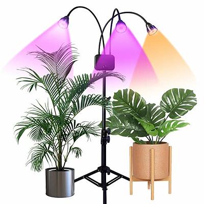 Grow Lights for Indoor Plants Growing, 6500K White LED Grow Lamp, 9  Dimmable Settings for Indoor Plants with White Spectrum, Adjustable  Gooseneck