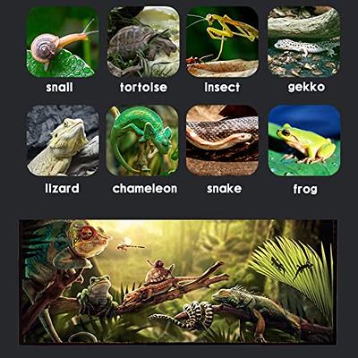 Amphibious Reptile Carpet Mats Terrarium Substrate Moss Insect