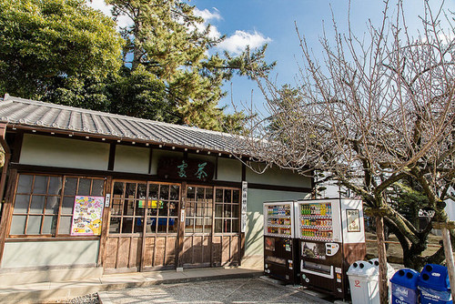 【日本-爱知县旅游】日本三大稻荷-丰川稻荷 -