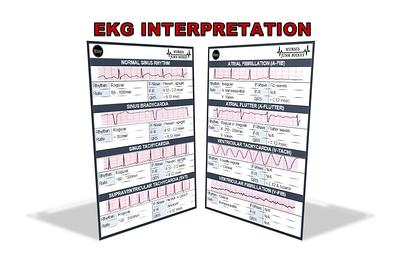 Badge Buddy - Ekg Interpretation - Yahoo Shopping