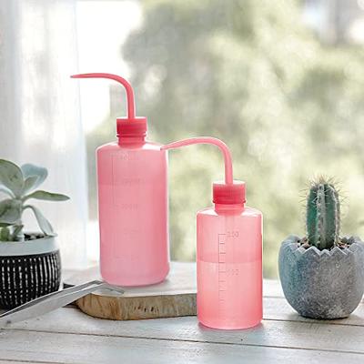 Style Selections 250ml Succulent Water Bottle in the Watering Cans  department at