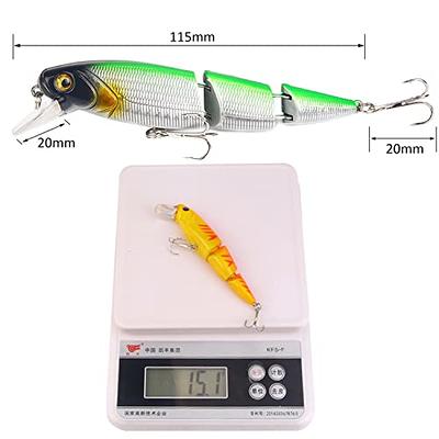 CRAZY SHARK Fishing Lures Set, 3 PCS Multi-Jointed Baits Kit, Artificial  Fishhooks 3D Lures for Pike Bass Perch Trout Salmon, Saltwater Freshwater  Fishing Accessories - Yahoo Shopping