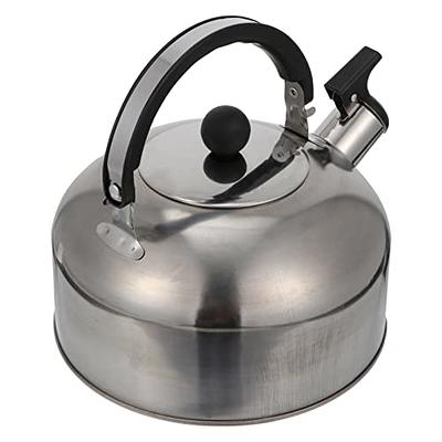 KALLORY Stainless Steel Teapot with Infuser Camping Tea Kettle Coffee Kettle  Small Tea Pot for Stovetop (Black) - Yahoo Shopping