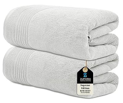 Clorox White/Grey Antimicrobial Solid Cotton Kitchen Towel Set (2-Pack)