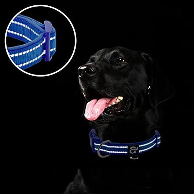 azuza Reflective Dog Collar,Soft Neoprene Padded Pet Collar with ID Tag Ring,Adjustable  for Small Dogs,Royal Blue,S - Yahoo Shopping