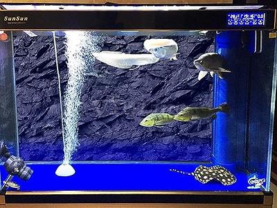 Black Matte Fish Tank BackgroundSimple Printing Wallpaper Aquarium Backdrop  Decorations PVC