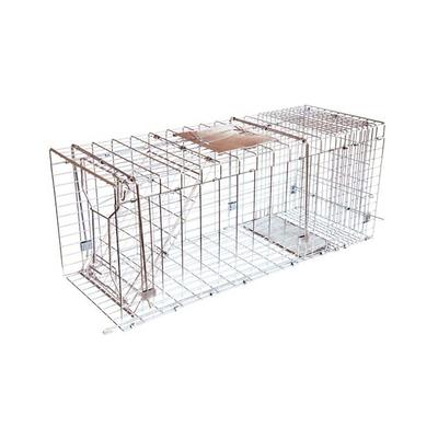 Havahart Large Live Catch Cage Trap For Cats and Raccoons 1 pk