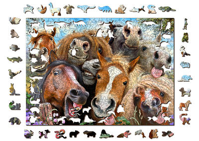 Into The Wild 500 Piece Puzzle