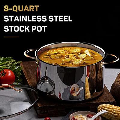 Alpine Cuisine 6 Quart Non-stick Stock Pot with Tempered Glass Lid and