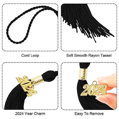 Pink Tassel,Pink Graduation Tassel 2024,Class of 2024 Tassel,2024 Tassel  Graduation,2024 Cap Tassel for Graduation Cap 2024,Charm Ceremonies