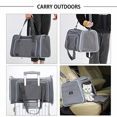  A4Pet Cat Travel Carrier, Collapsible Cat Carrier Bag Airline  Approved with Zipper Lock and Removable Washable Mat for Car, Indoor &  Outdoor Use : Pet Supplies