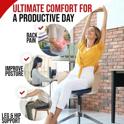 Seat Cushion & Lumbar Support Pillow for Office Chair, Car