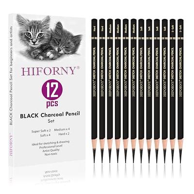 Pack of 3)White Charcoal Pencils for Expressive Portraits and Drawings on  Black Tinted Paper with White Paper Blending Stumps for Shading, Smudging  and 1 Pencil Extender