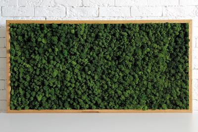 Preserved Moss Wall Art : r/crafts