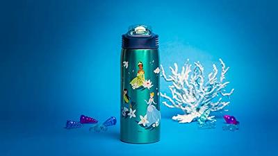 Zak Designs Disney Princess 19oz Stainless Steel Water Bottle B2