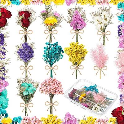 Mini Natural Dried Flower Bouquet Creative Flowers Bouquet Props