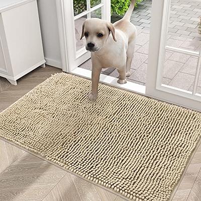 Indoor Doormat Super Absorbs Mud Mat, Machine Washable Non-Slip