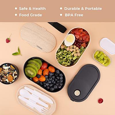 2 Layers Leakproof Bento Lunch Box with stainless steel silverware, BPA Free