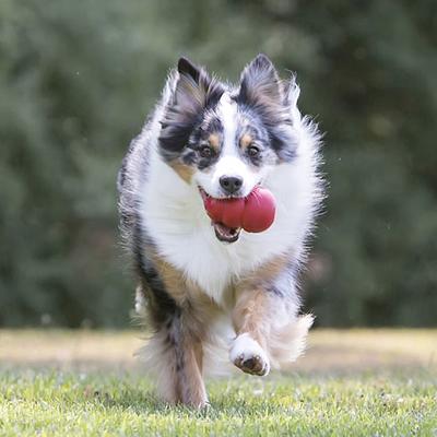 Kong Classic Dog Toy, Red, Small