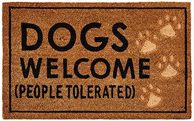 Steplively Door Mat Home Welcome Mats Outdoor and Indoor, Heavy-Duty  Low-Profile