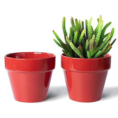 Chonsun Ceramic Planter 6 Inch Plant Pots Indoor Oudoor Planter Flower Pots  Succulent Plant Pots Mid-Century Planter Ceramic Red Gnomes - Yahoo Shopping