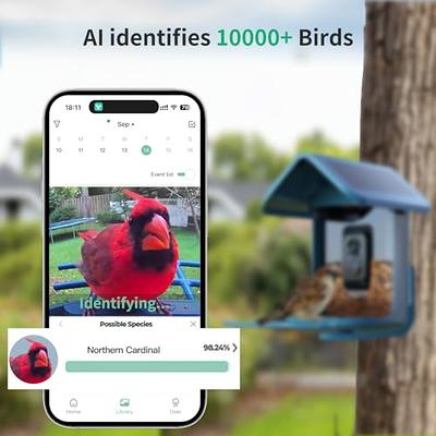 Onlyfly Bird Feeder with Camera - Smart Bird Feeder with Camera 1080p HD for Bird Watching, Ai Recognition Birdhouse Camera, Solar Powered Video