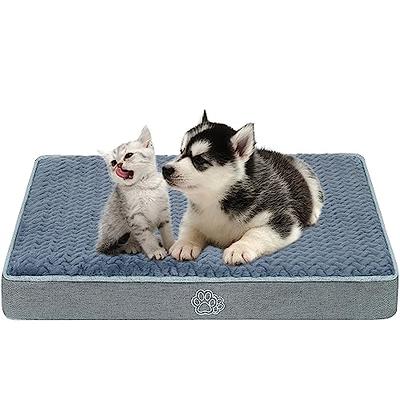 Mora Pets Ultra Soft Pet (Dog/Cat) Bed Mat with Cute Prints | Reversible Fleece Dog Crate Kennel Pad | Machine Washable Pet