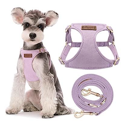 Popvcly 2 Pack Dog Harness and Leash Set with Bow Tie Collar and Bell,  Adjustable Escape Proof Vest Harness for Outdoor Walking and Traveling, M