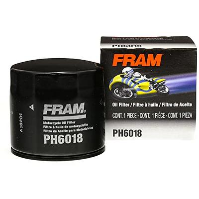 K&N KN-138 Motorcycle Motor Oil Filters: High Performance, Premium,  Designed to be used with Synthetic/Conventional Oils: Fits Select Suzuki  Motorcycles 
