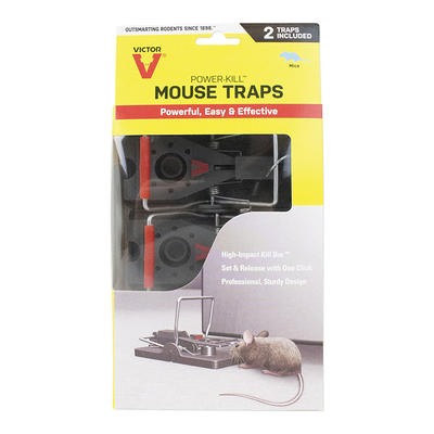 Kat Sense Mouse Traps for House Reusable Humane Instant Kill Snap