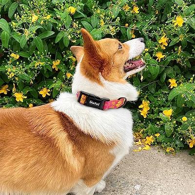 Adjustable Soft Dog Collar Multicolor Cute Flower Patterns for