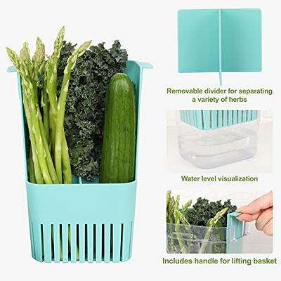  Fresh Produce Saver Containers with Herb Keeper and