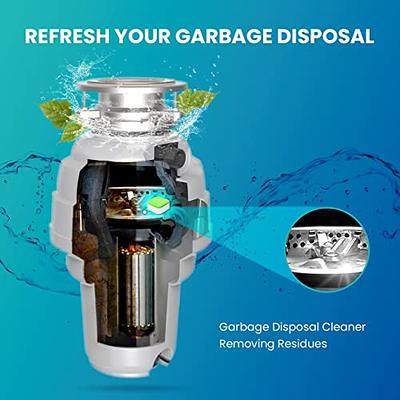 Garbage Disposal Cleaner Brush with Extra Long Handle to Keep Your Drain  Spotless - Disposal Cleaner and Deodorizer for a Fresh Smelling Kitchen - Disposer  Cleaner Drain Brush - Garbage Disposal Brush 