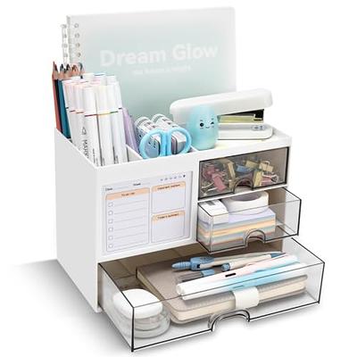 Dicunoy Desktop Art Supply Storage Organizer, Plastic White Pen Holder with  Drawer, Multifunction Desktop Storage Case with 19 Compartments for