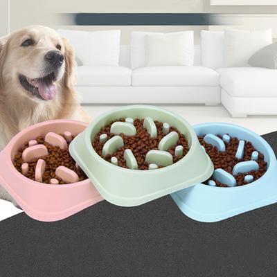 DPOEGTS Slow Feeder Dog Bowl, Puzzle Dog Food Bowl Anti-Gulping Interactive  Dog Bowl and Water Dog Bowl for Small/Medium Sized Dogs (Green, Bone)