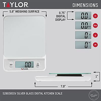 Taylor Glass Digital Kitchen Scale, Silver