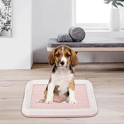 Skywin Dog Puppy Pad Holder Tray - No Spill Pee Pad Holder for Dogs - Pee Pad Holder Works with Most Training Pads, Easy to Clean and Store (Green)