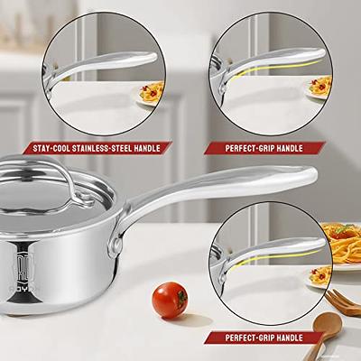 LOLYKITCH Whole Body Tri-Ply Stainless Steel 2 Quart Saucepan with