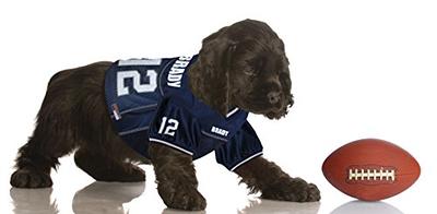 Tom brady deals pet jersey