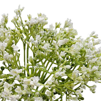 Mainstays 12 inch Artificial Baby's Breath Flower Pick, White Color. Indoor  Use. - Yahoo Shopping