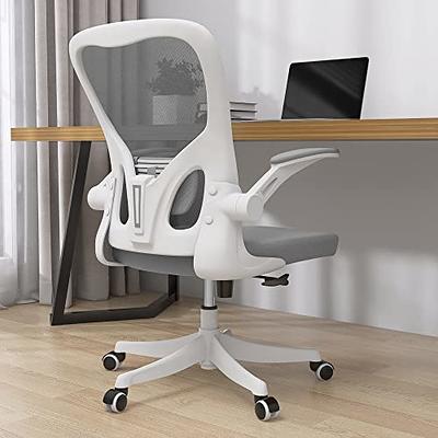 Axis Symmetry Study Buddy Office Chair
