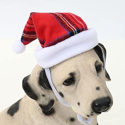 Pet Santa Hat - Christmas Photo Prop | X-Small Mini Size for Cats, Kittens  + Small Dogs