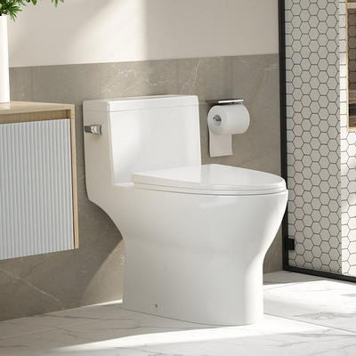 Simple Project 19 in. Tall Toilet 2-Piece 1.0/1.6 GPF Rear-Outlet