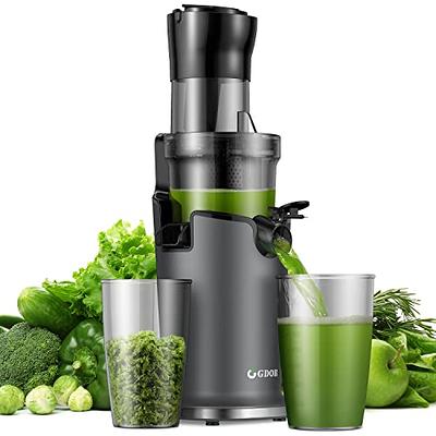 Masticating Juicer Machines, 3.5-inch (88mm) Powerful Slow Cold