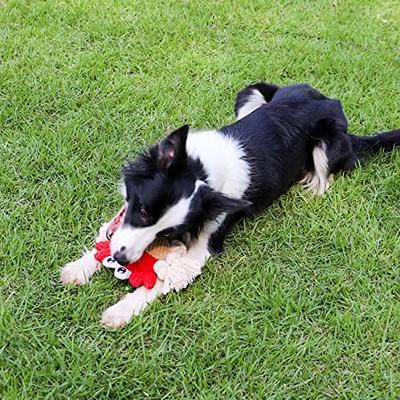 napojoy Dog Toys, Stuffed Dog Toys for Small Medium Large Dogs, Squeaky Dog  Chew Toy with Crinkle Paper, Outdoor Puppy Toys Interactive Tough Plush  Rope Toys Crab Shape price in Saudi Arabia