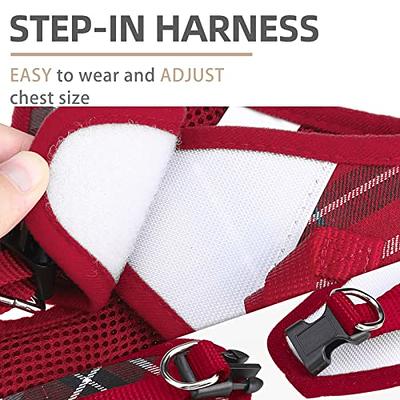 PUPTECK Adjustable Dog Harness Collar and Leash Set Step in No Pull Pet  Harness for Small Medium Dogs Puppy and Cats Outdoor Walking Running, Soft